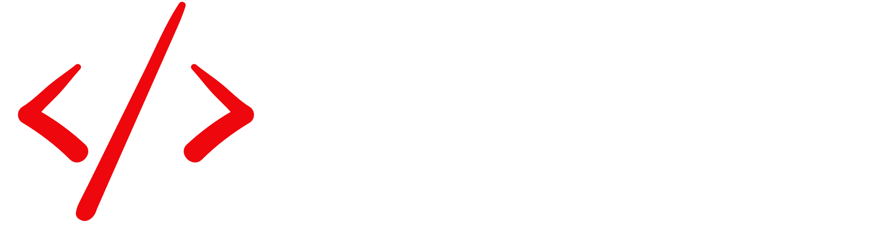 Web and Software Solutions Logo